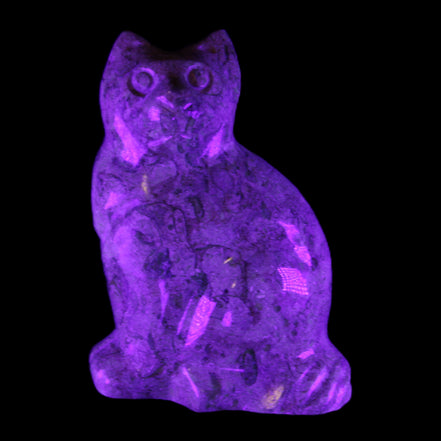 Fossil stone hand-carved Cat 81*45*115mm 534g in UV light - Rocks and Things Store