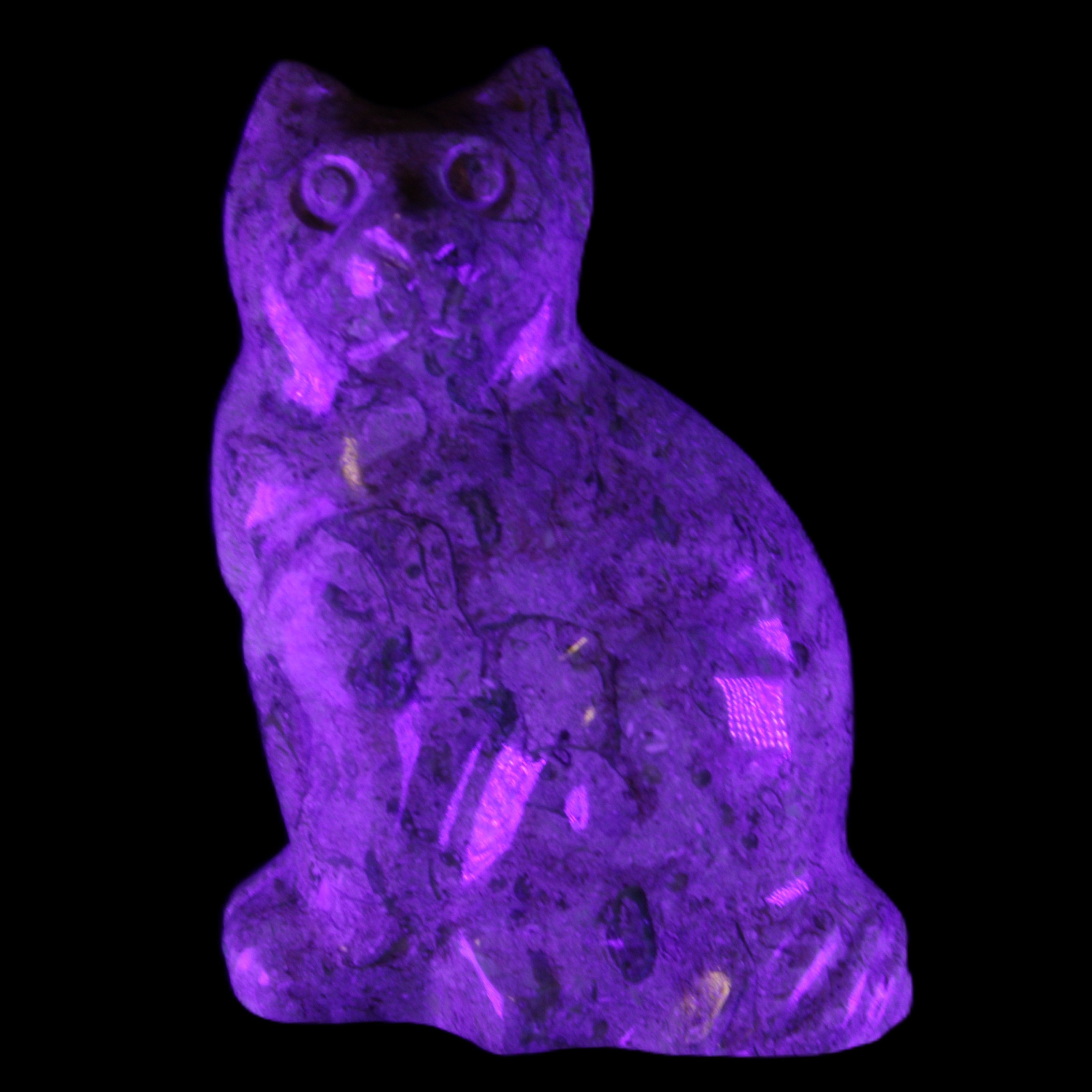 Fossil stone hand-carved Cat 81*45*115mm 534g in UV light - Rocks and Things Store