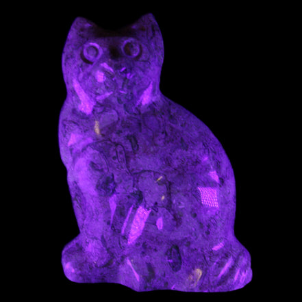 Fossil stone hand-carved Cat 81*45*115mm 534g in UV light - Rocks and Things Store