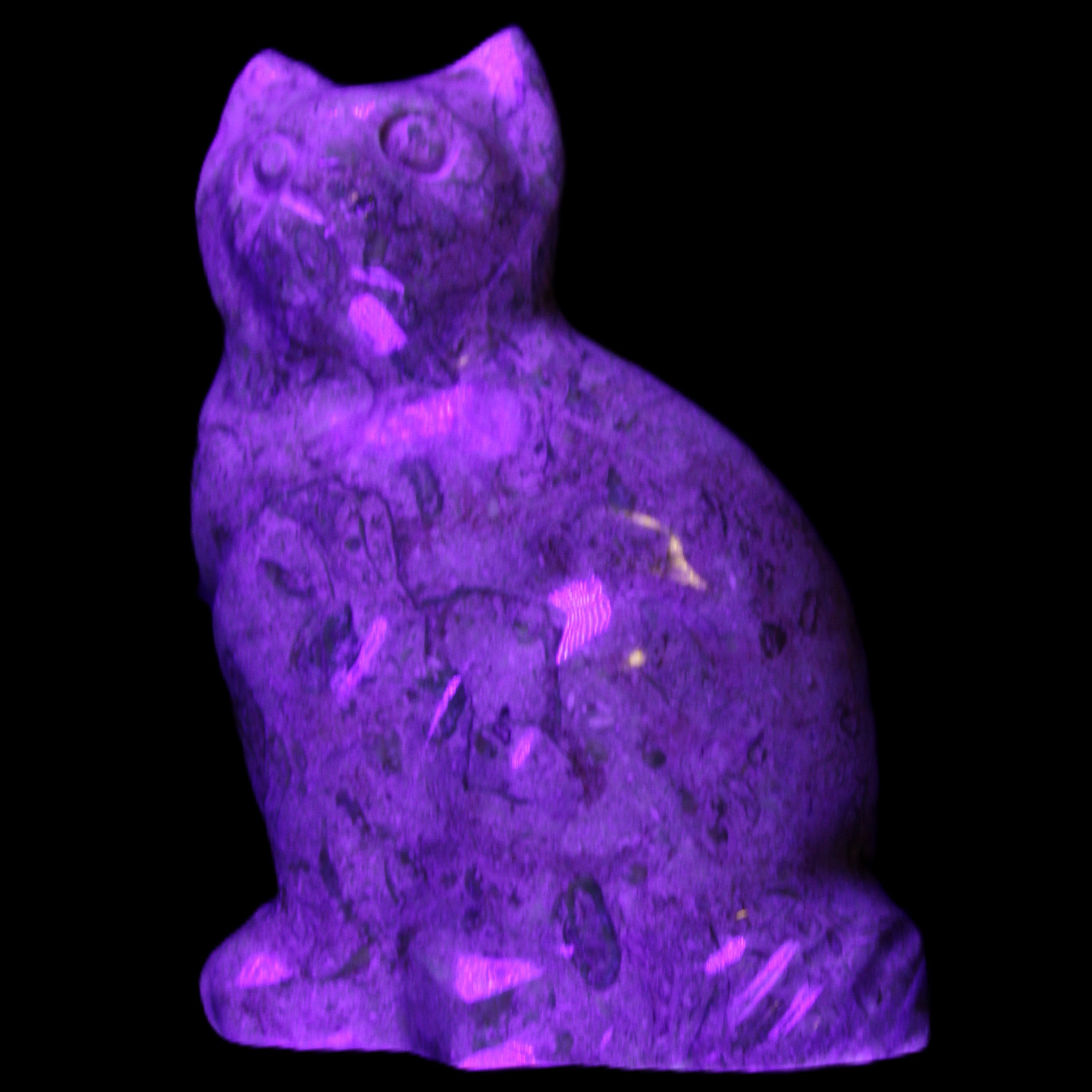 Fossil stone hand-carved Cat 81*45*115mm 534g in UV light - Rocks and Things Store