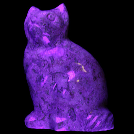 Fossil stone hand-carved Cat 81*45*115mm 534g in UV light - Rocks and Things Store