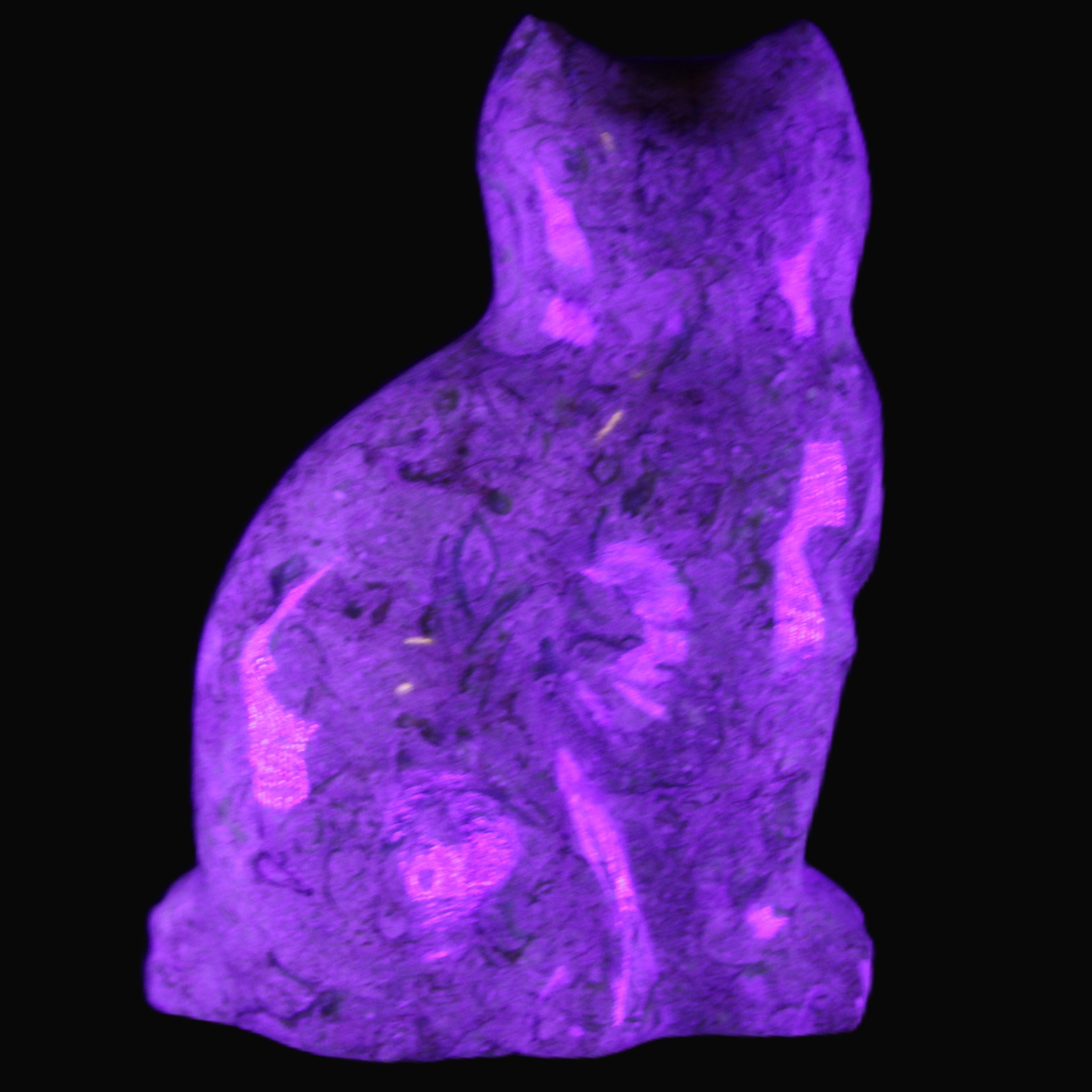 Fossil stone hand-carved Cat 81*45*115mm 534g in UV light - Rocks and Things Store