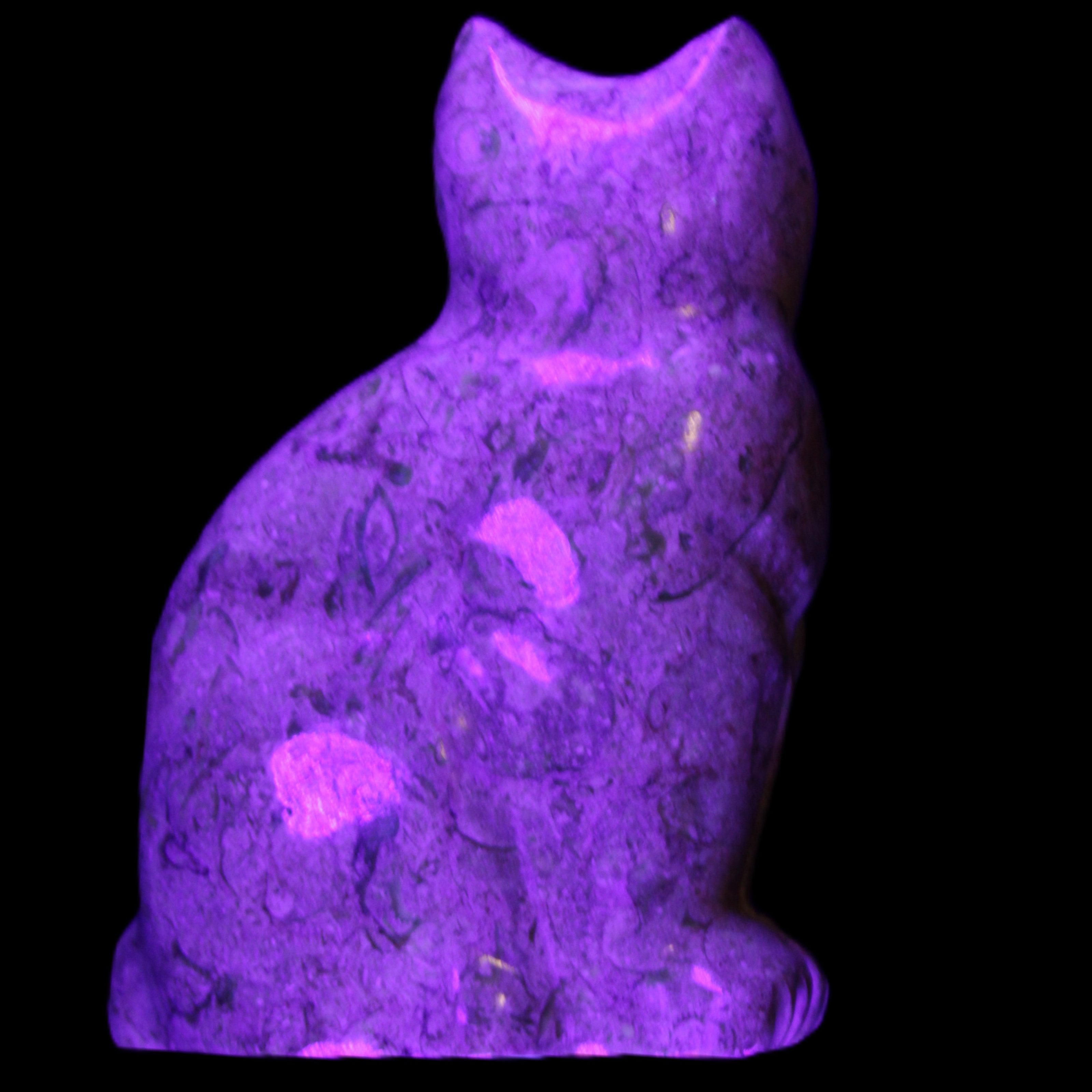 Fossil stone hand-carved Cat 81*45*115mm 534g in UV light - Rocks and Things Store