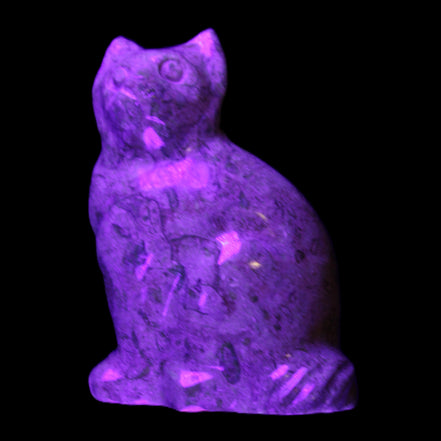 Fossil stone hand-carved Cat 81*45*115mm 534g in UV light - Rocks and Things Store