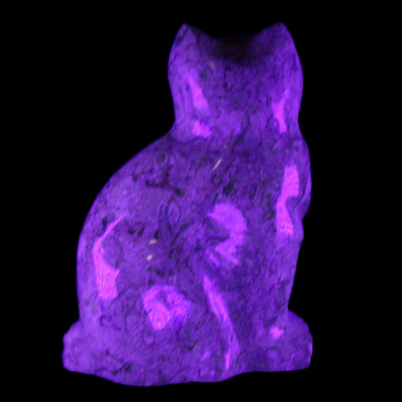 Fossil stone hand-carved Cat 81*45*115mm 534g in UV light - Rocks and Things Store
