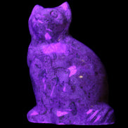 Fossil stone hand-carved Cat 81*45*115mm 534g in UV light - Rocks and Things Store