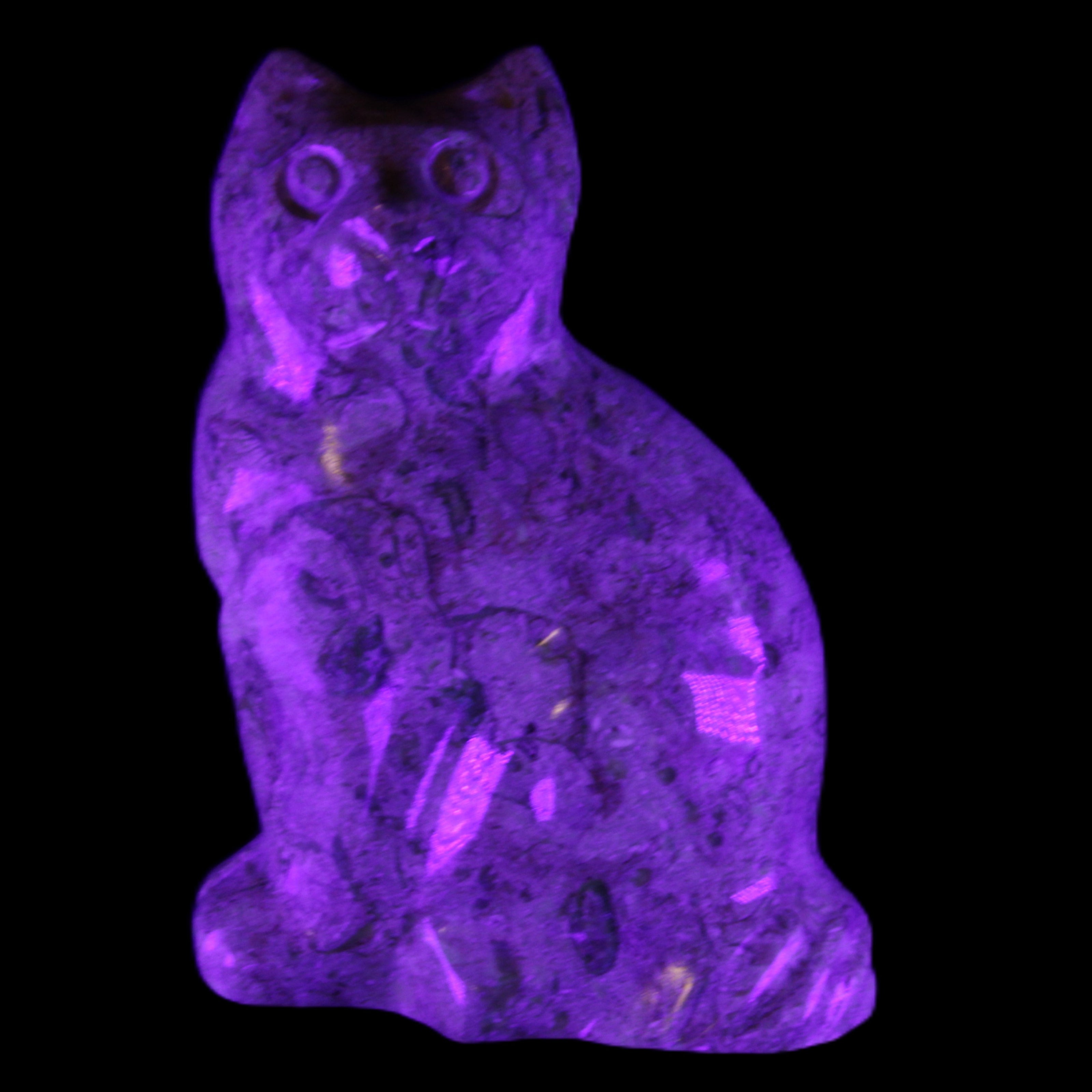 Fossil stone hand-carved Cat 81*45*115mm 534g in UV light - Rocks and Things Store