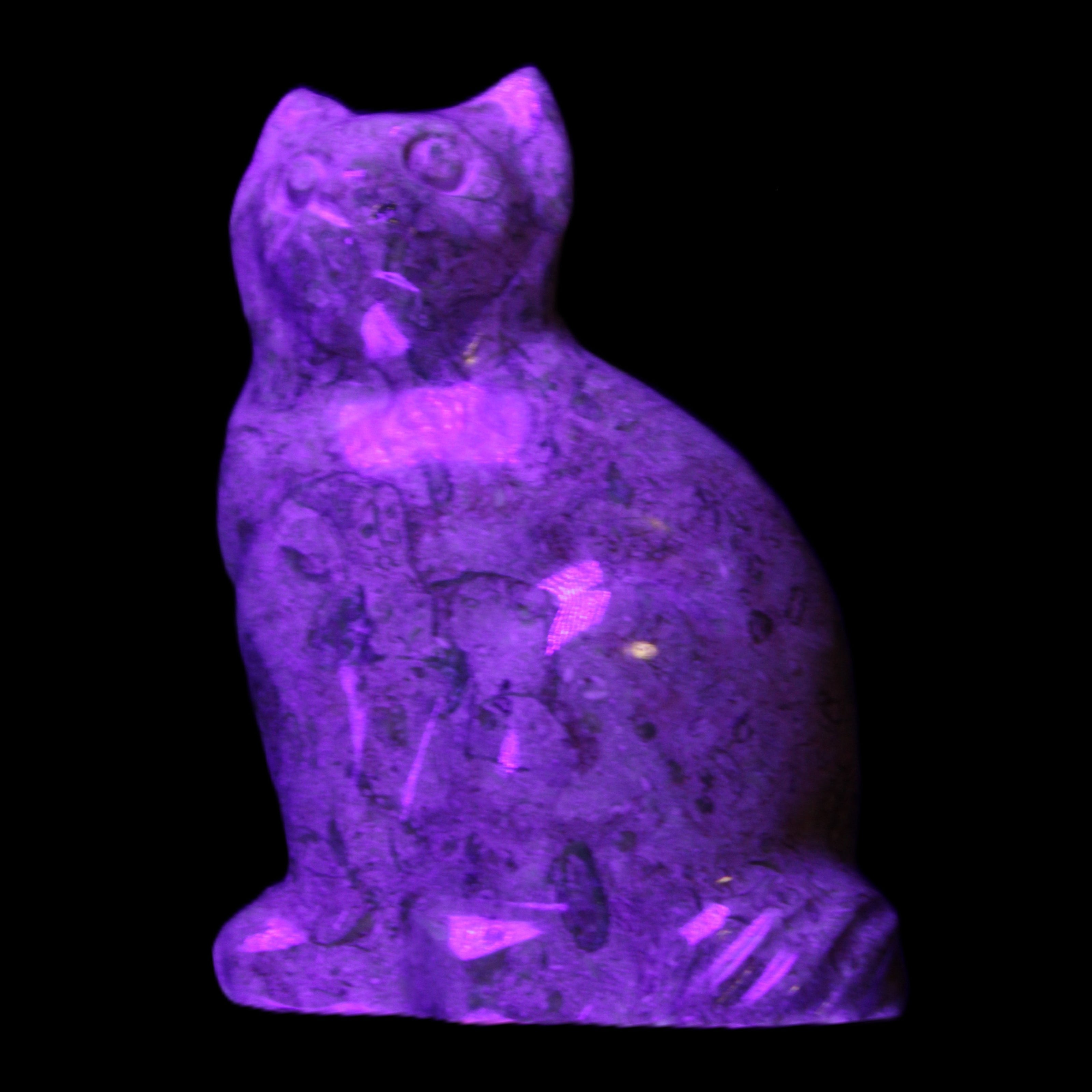 Fossil stone hand-carved Cat 81*45*115mm 534g in UV light - Rocks and Things Store
