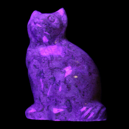 Fossil stone hand-carved Cat 81*45*115mm 534g in UV light - Rocks and Things Store