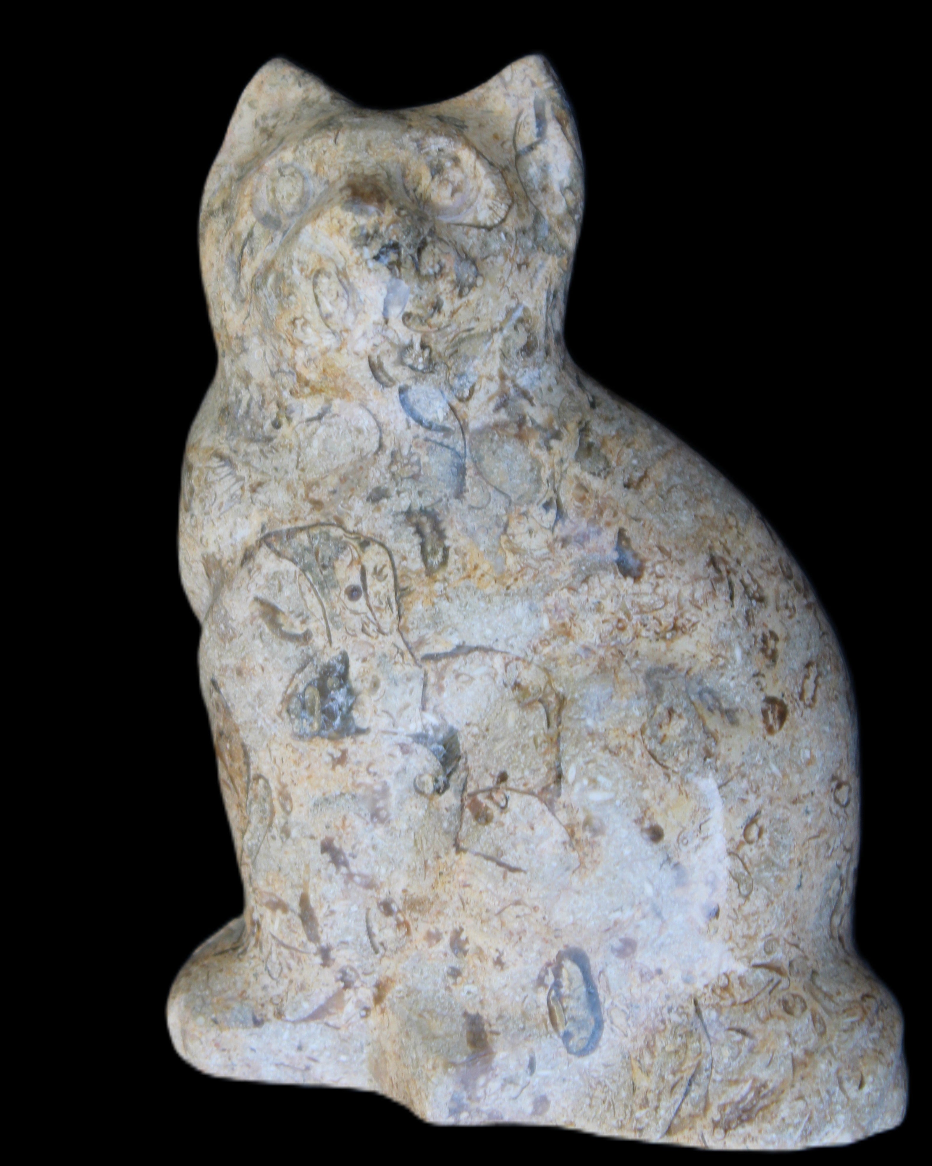 Fossil stone hand-carved Cat 81*45*115mm 534g in sunlight - Rocks and Things Store