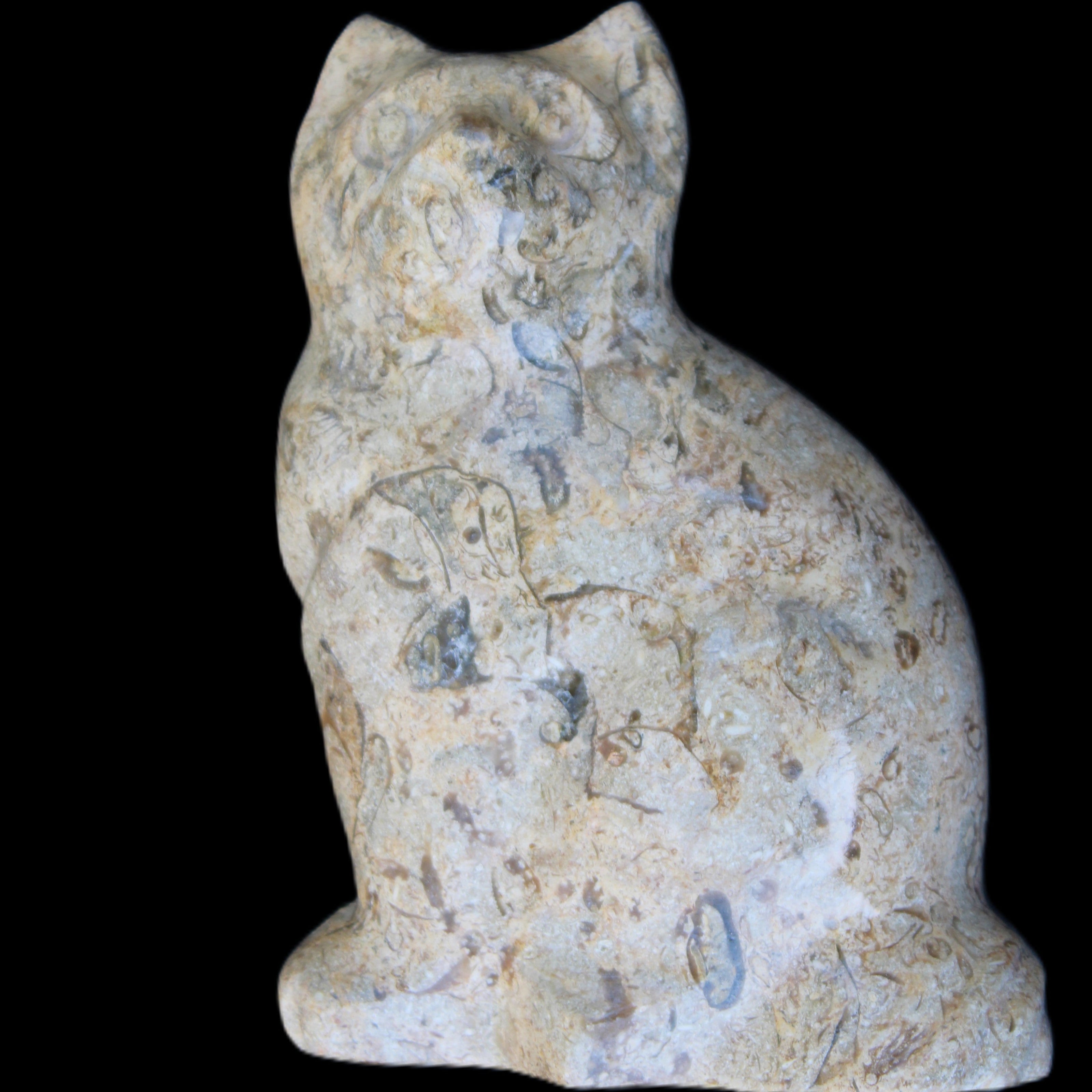 Fossil stone hand-carved Cat 81*45*115mm 534g in sunlight - Rocks and Things Store