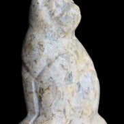 Fossil stone hand-carved Cat 81*45*115mm 534g in sunlight - Rocks and Things Store