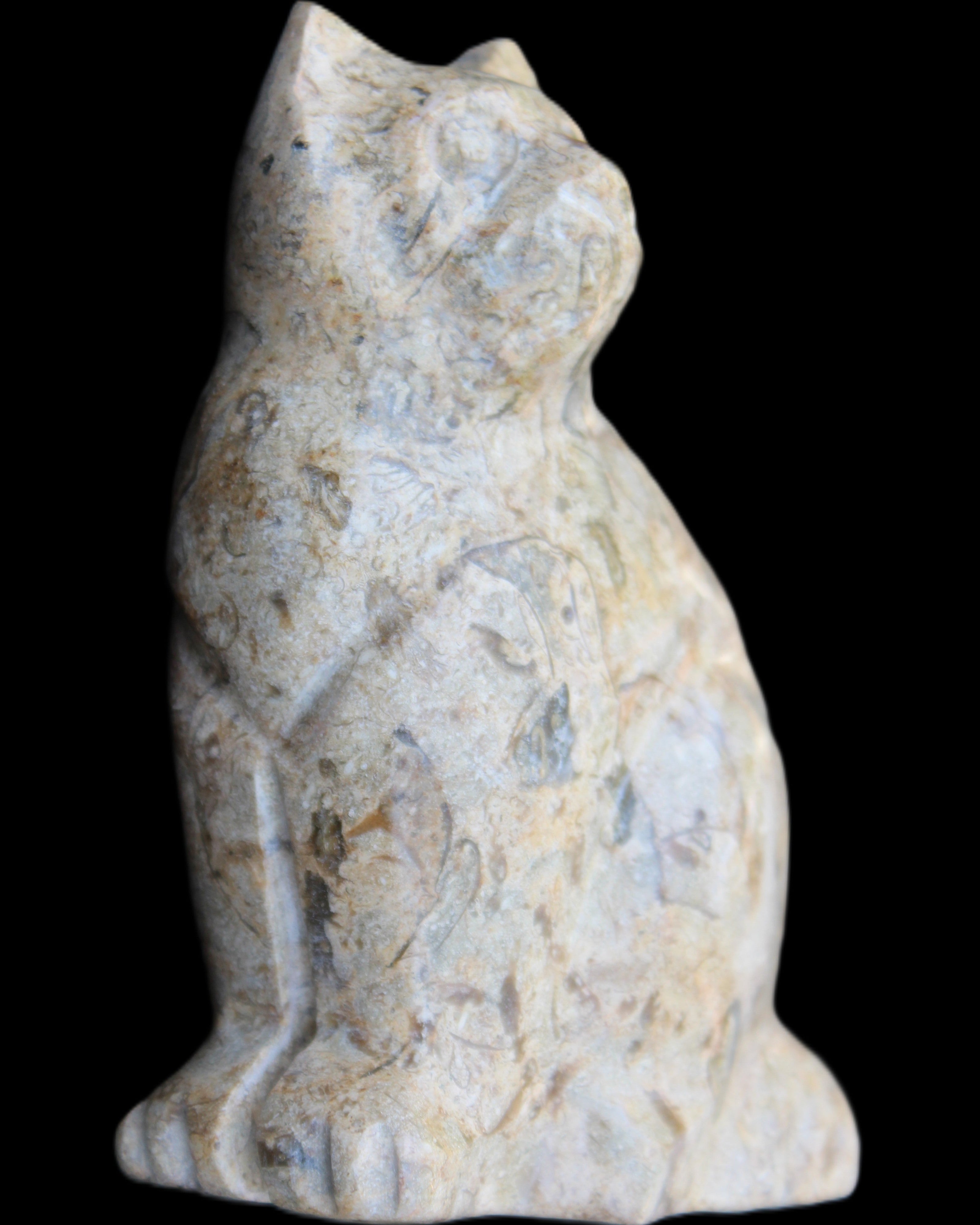 Fossil stone hand-carved Cat 81*45*115mm 534g in sunlight - Rocks and Things Store