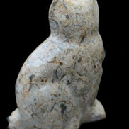 Fossil stone hand-carved Cat 81*45*115mm 534g in sunlight - Rocks and Things Store