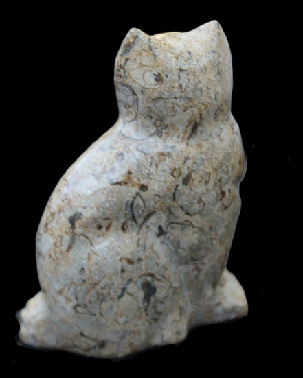Fossil stone hand-carved Cat 81*45*115mm 534g in sunlight - Rocks and Things Store