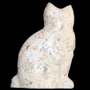 Fossil stone hand-carved Cat 81*45*115mm 534g in sunlight - Rocks and Things Store