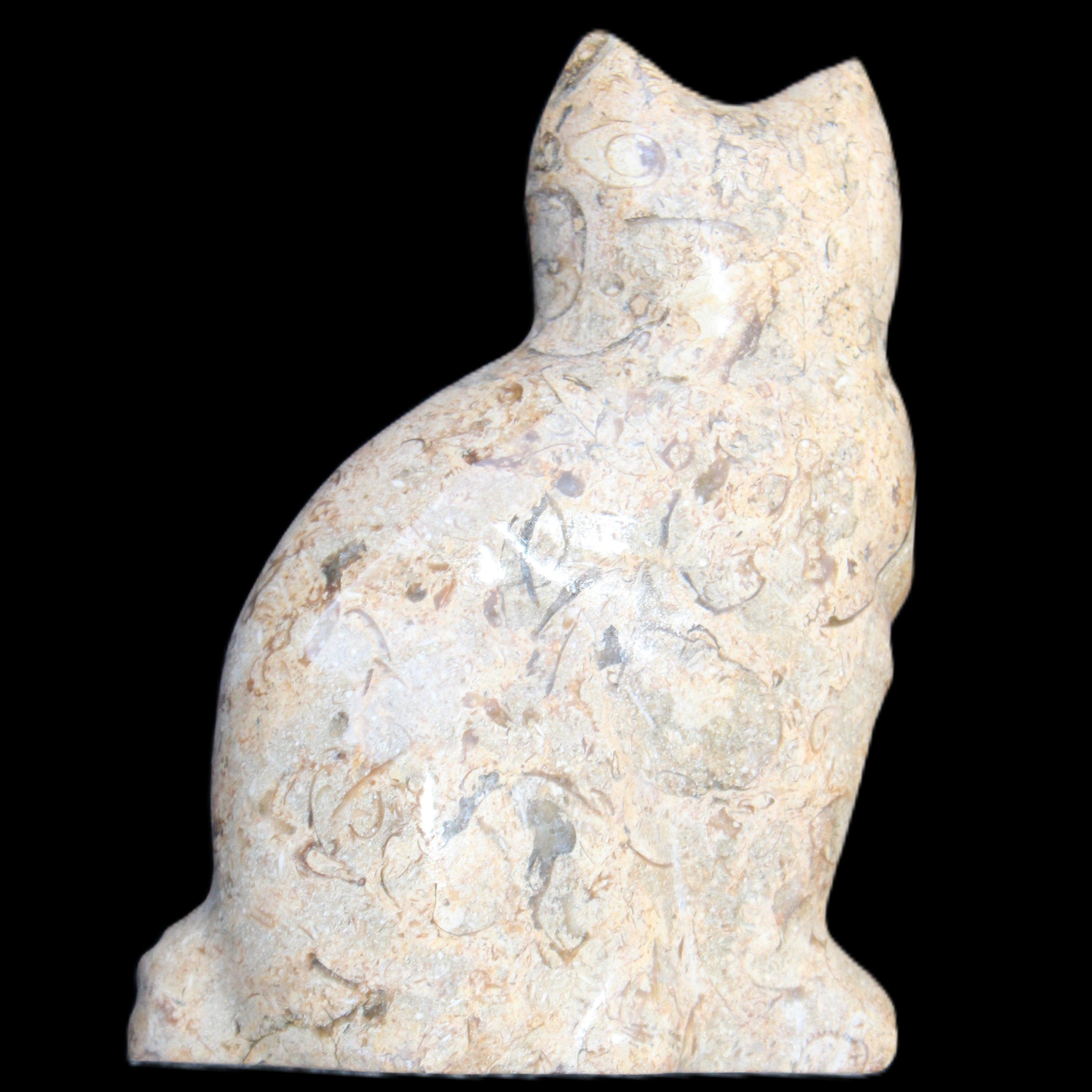 Fossil stone hand-carved Cat 81*45*115mm 534g in sunlight - Rocks and Things Store