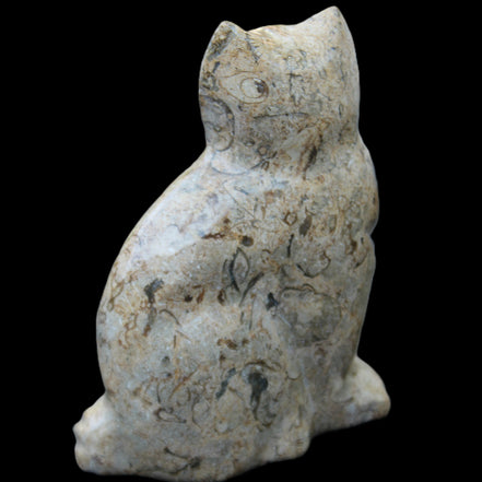 Fossil stone hand-carved Cat 81*45*115mm 534g in sunlight - Rocks and Things Store