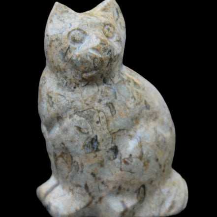 Fossil stone hand-carved Cat 81*45*115mm 534g in sunlight - Rocks and Things Store