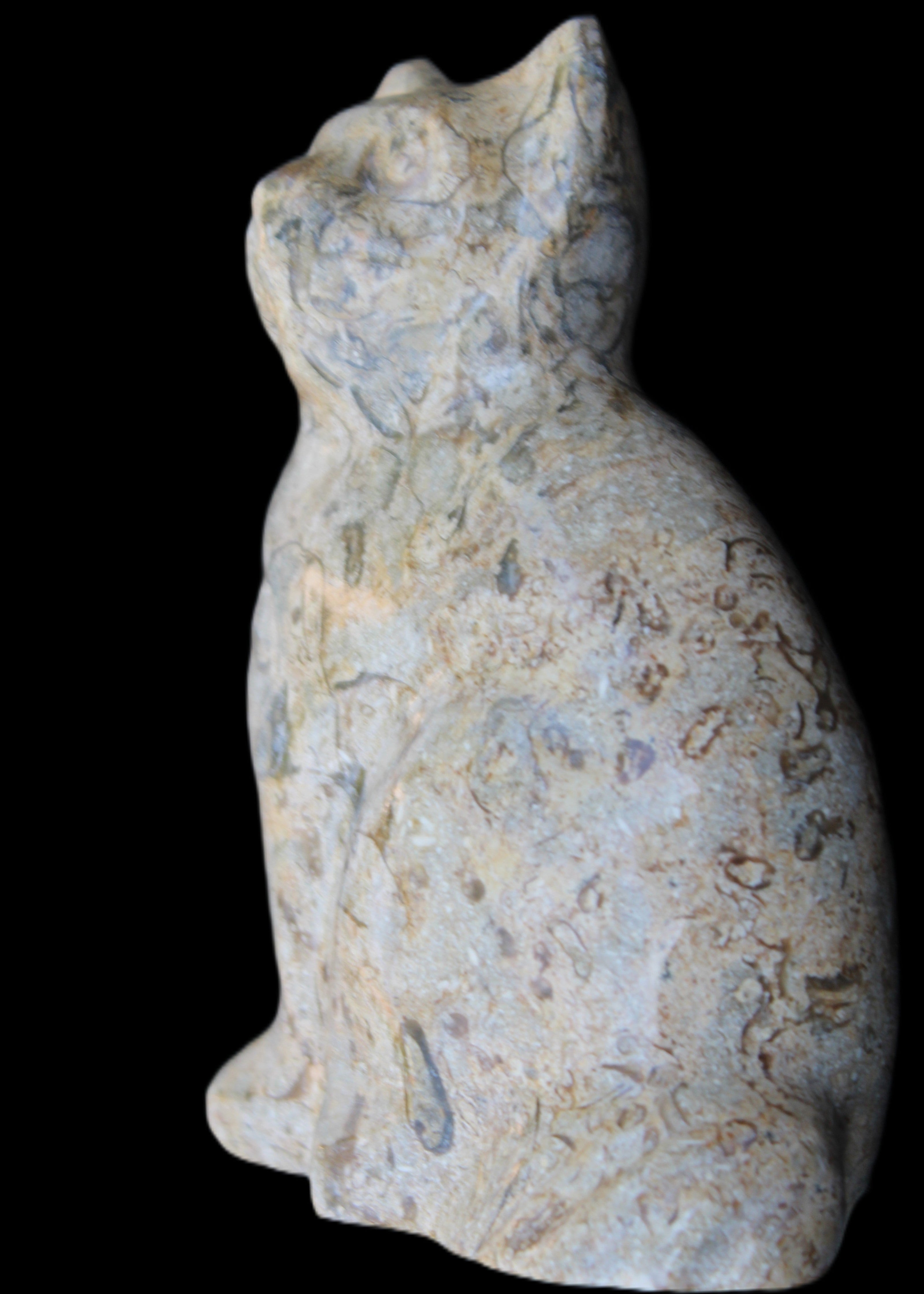Fossil stone hand-carved Cat 81*45*115mm 534g in sunlight - Rocks and Things Store