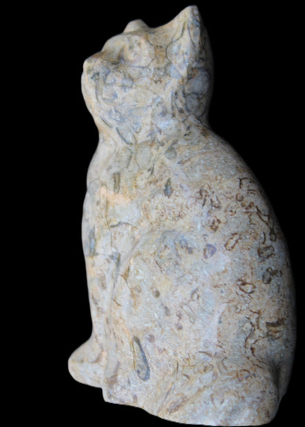 Fossil stone hand-carved Cat 81*45*115mm 534g in sunlight - Rocks and Things Store