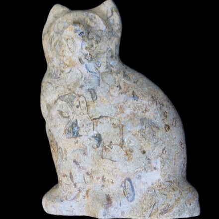 Fossil stone hand-carved Cat 81*45*115mm 534g in sunlight - Rocks and Things Store