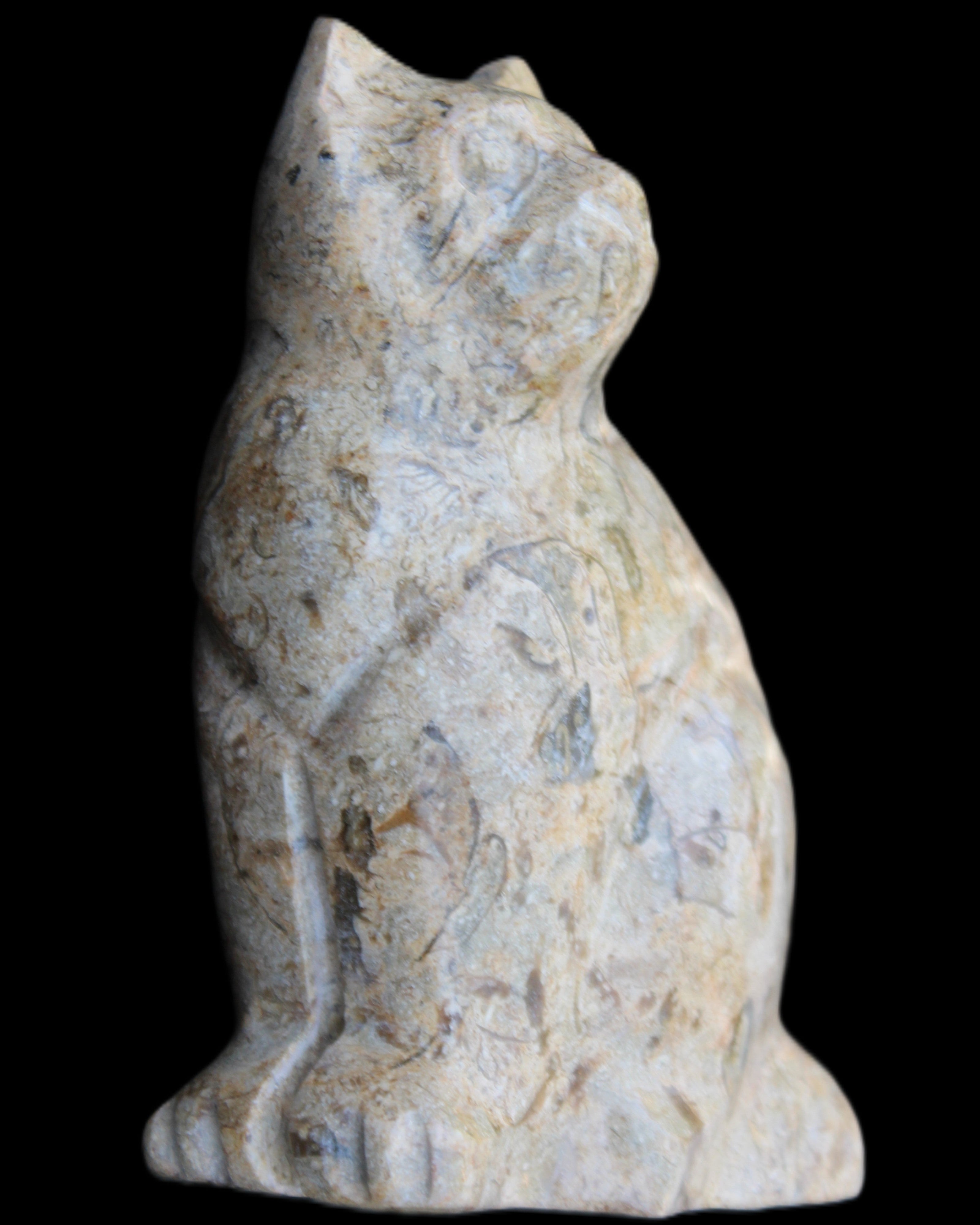 Fossil stone hand-carved Cat 81*45*115mm 534g in sunlight - Rocks and Things Store