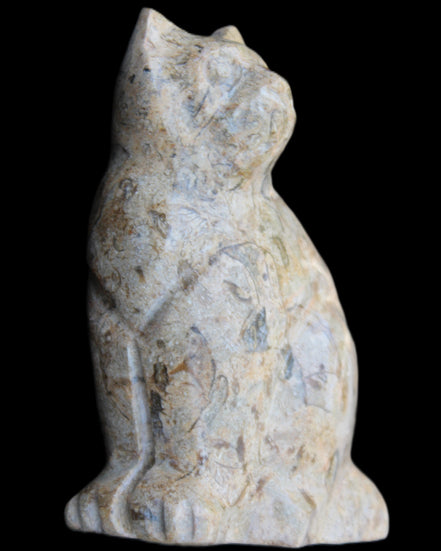 Fossil stone hand-carved Cat 81*45*115mm 534g in sunlight - Rocks and Things Store