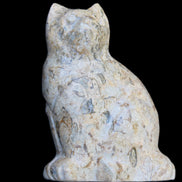 Fossil stone hand-carved Cat 81*45*115mm 534g in sunlight - Rocks and Things Store