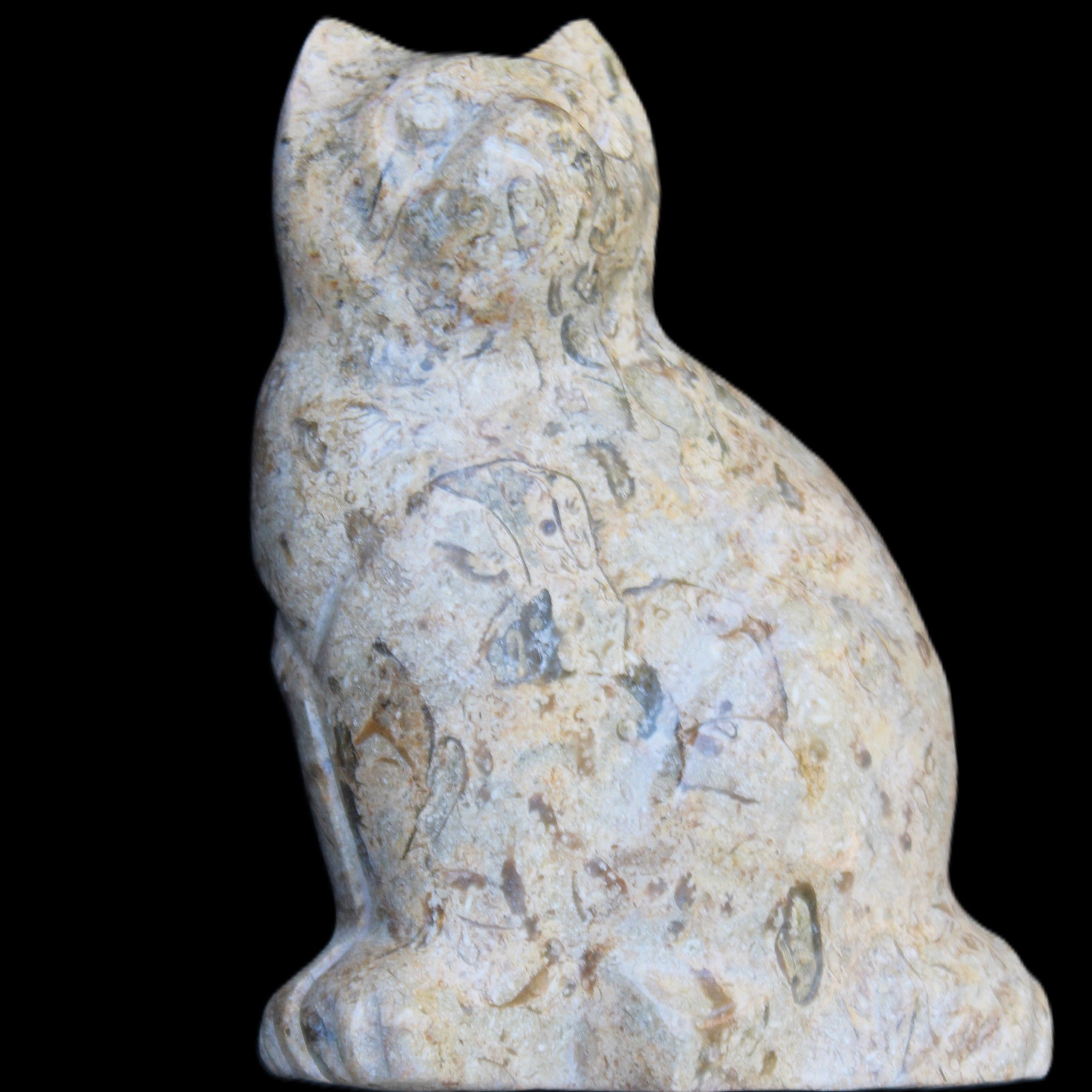 Fossil stone hand-carved Cat 81*45*115mm 534g in sunlight - Rocks and Things Store