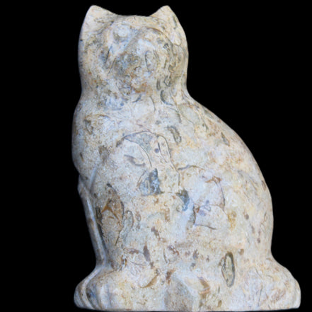 Fossil stone hand-carved Cat 81*45*115mm 534g in sunlight - Rocks and Things Store