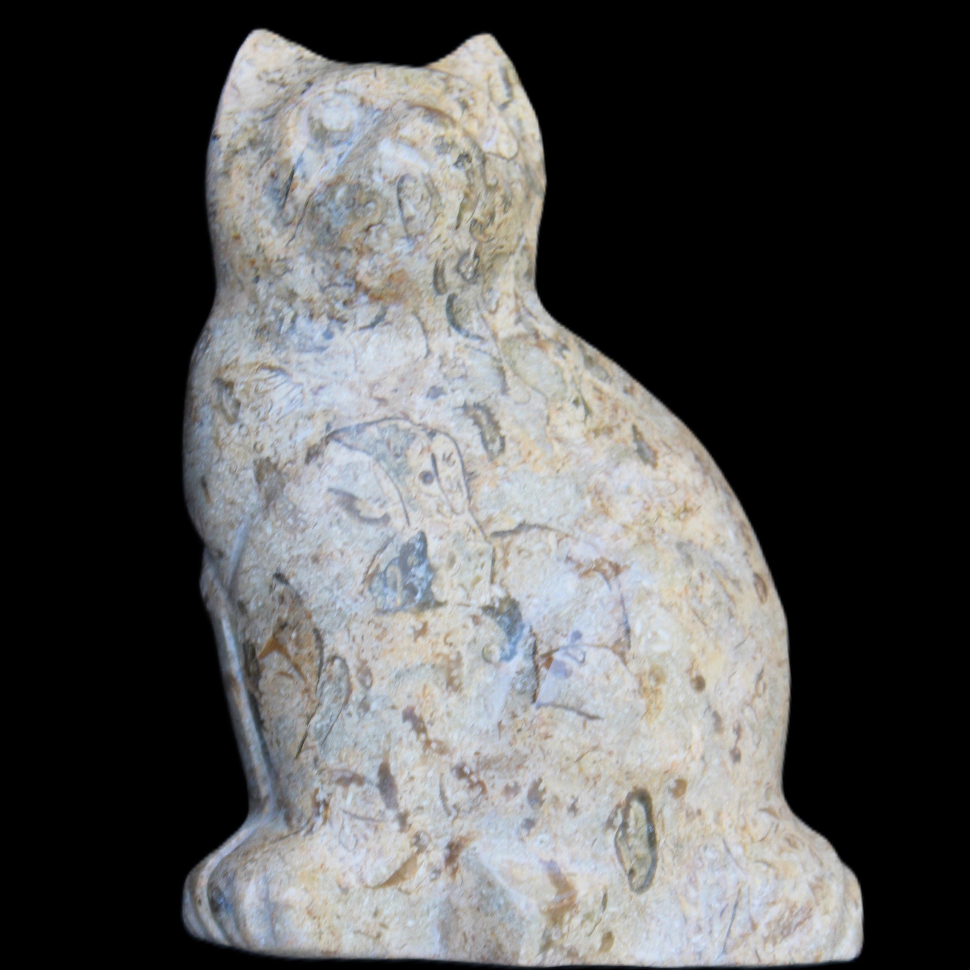 Fossil stone hand-carved Cat 81*45*115mm 534g in sunlight - Rocks and Things Store