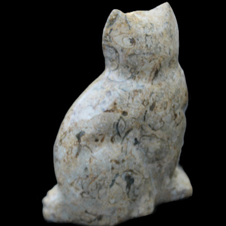 Fossil stone hand-carved Cat 81*45*115mm 534g in sunlight - Rocks and Things Store