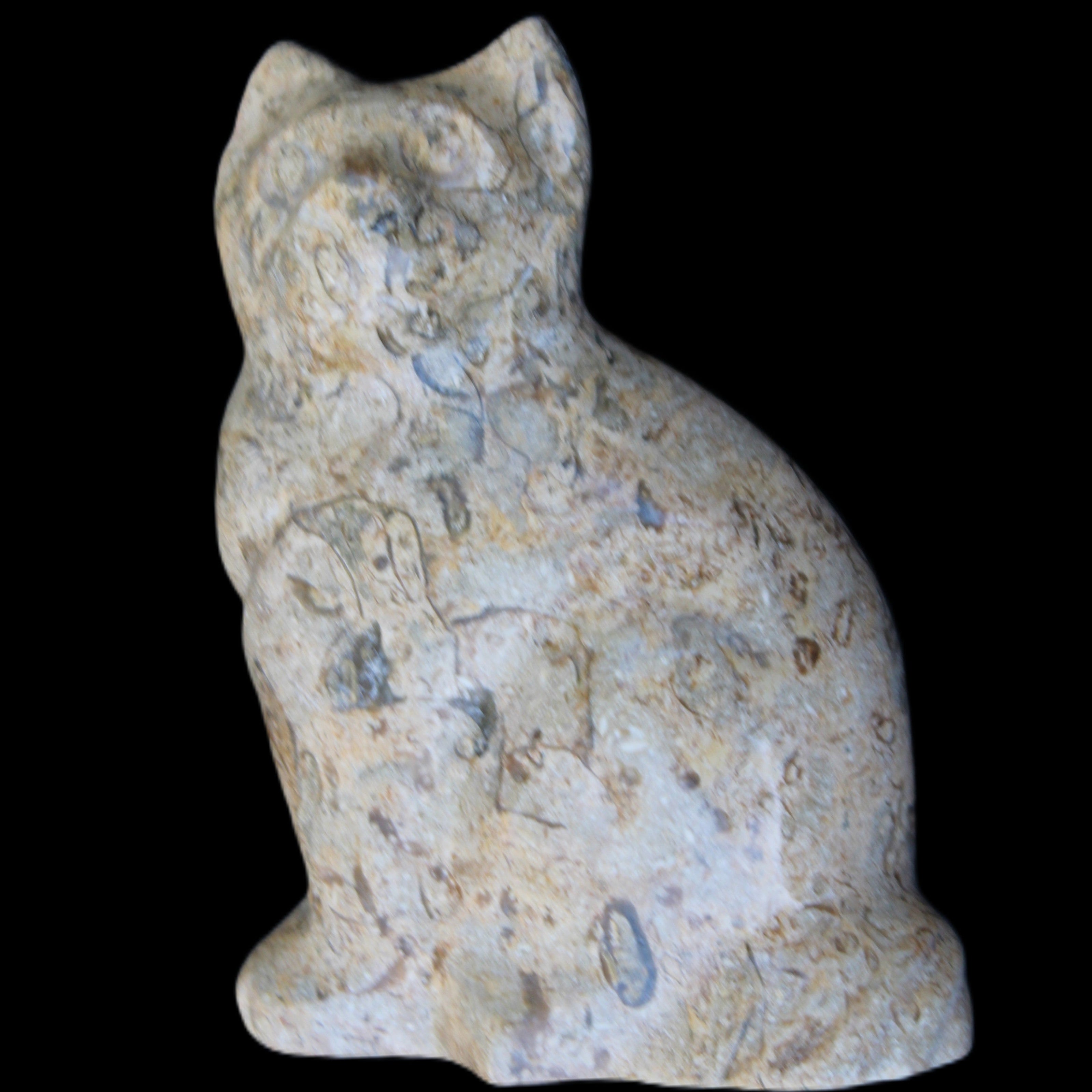 Fossil stone hand-carved Cat 81*45*115mm 534g in sunlight - Rocks and Things Store