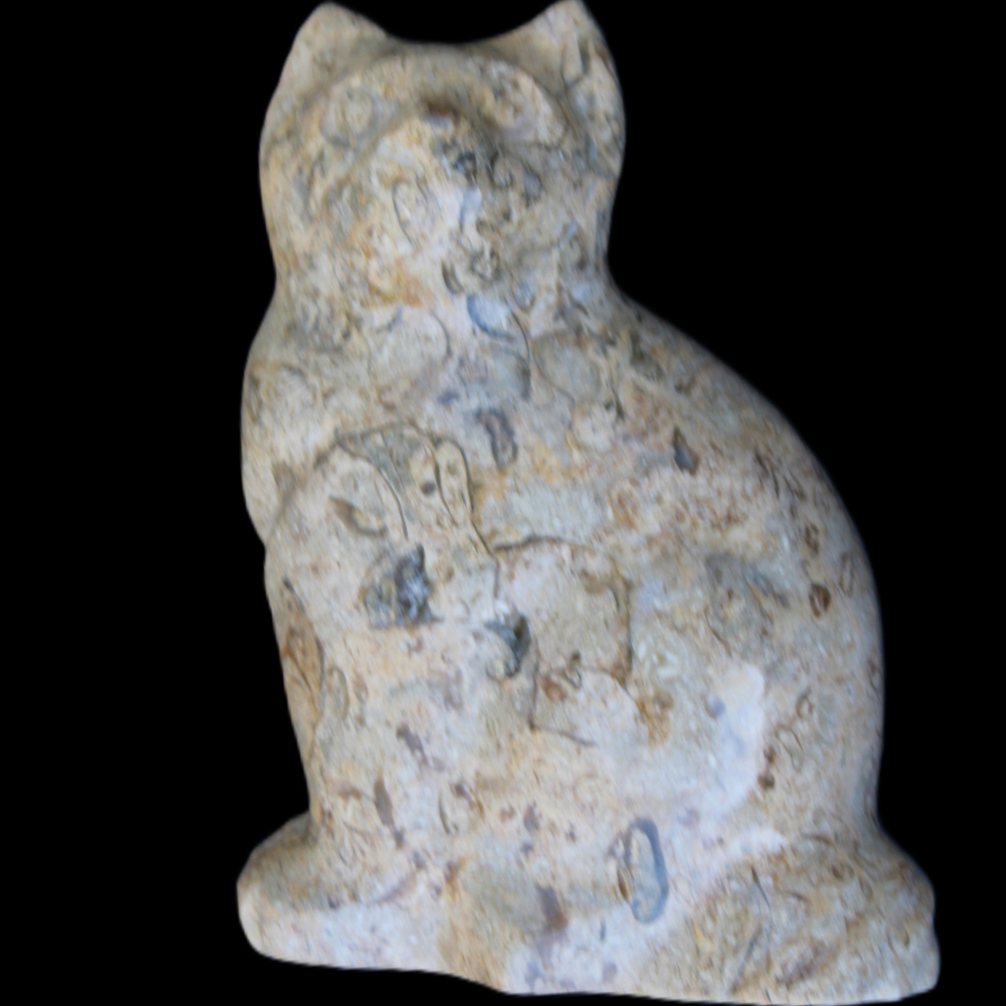 Fossil stone hand-carved Cat 81*45*115mm 534g in sunlight - Rocks and Things Store
