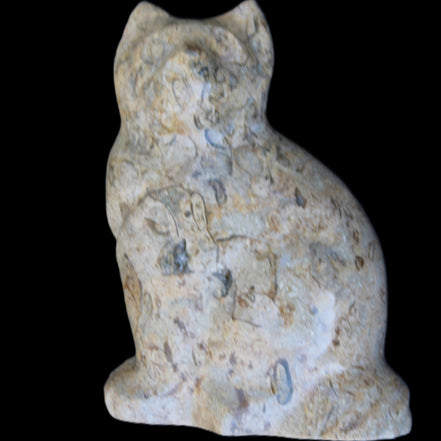 Fossil stone hand-carved Cat 81*45*115mm 534g in sunlight - Rocks and Things Store