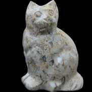 Fossil stone hand-carved Cat 81*45*115mm 534g in sunlight - Rocks and Things Store
