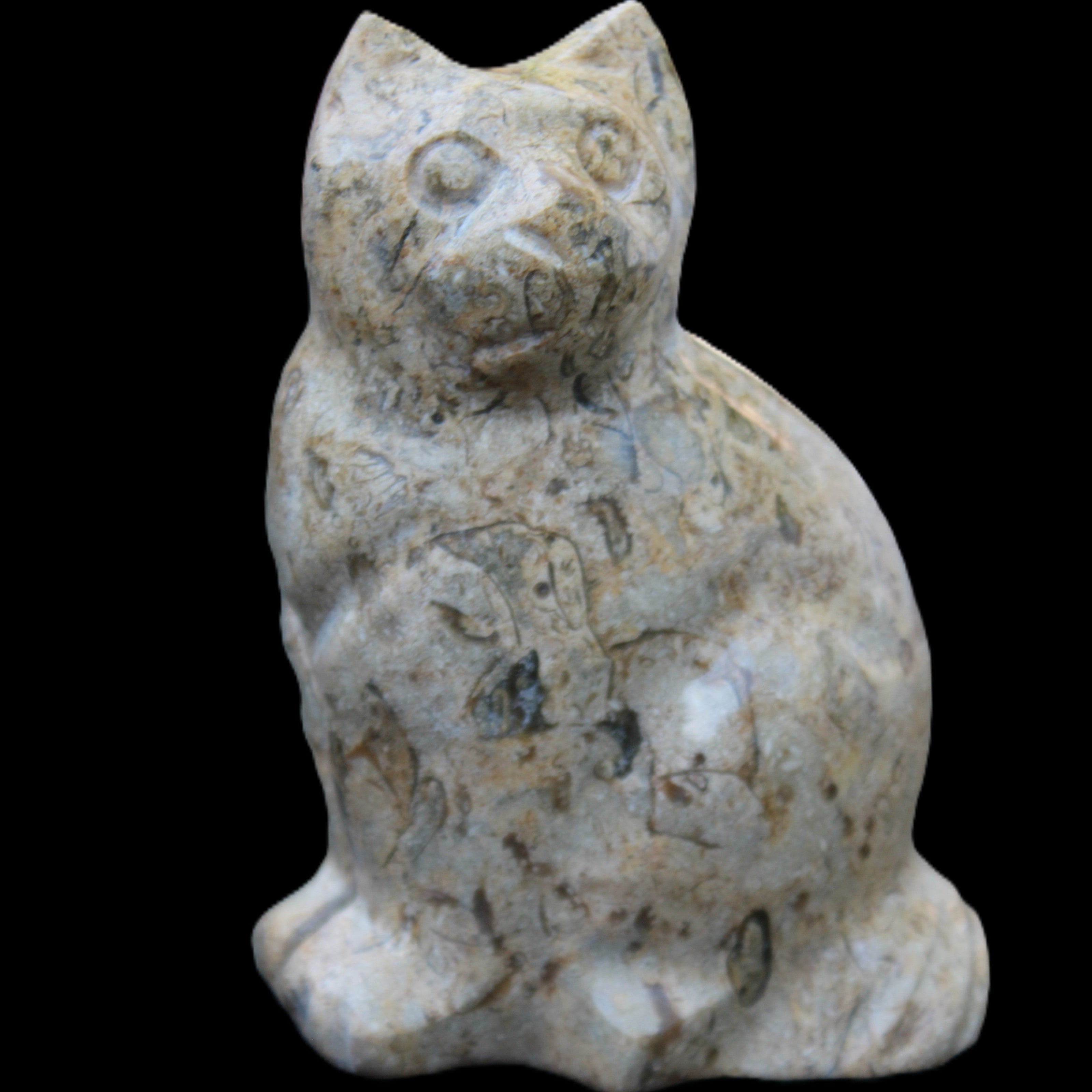 Fossil stone hand-carved Cat 81*45*115mm 534g in sunlight - Rocks and Things Store