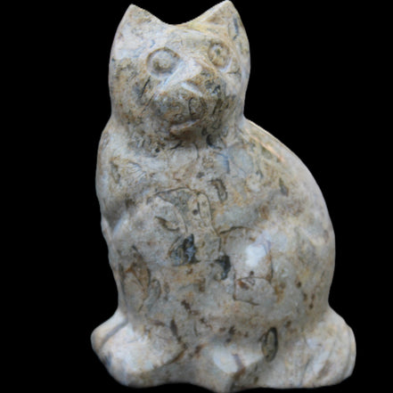 Fossil stone hand-carved Cat 81*45*115mm 534g in sunlight - Rocks and Things Store