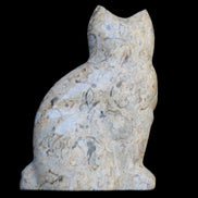 Fossil stone hand-carved Cat 81*45*115mm 534g in sunlight - Rocks and Things Store