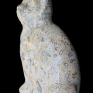 Fossil stone hand-carved Cat 81*45*115mm 534g in sunlight - Rocks and Things Store