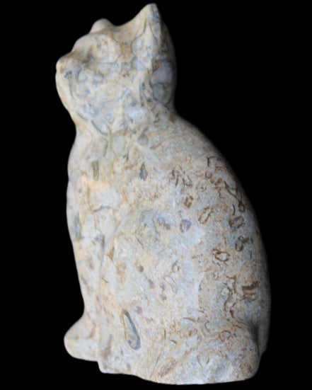 Fossil stone hand-carved Cat 81*45*115mm 534g in sunlight - Rocks and Things Store