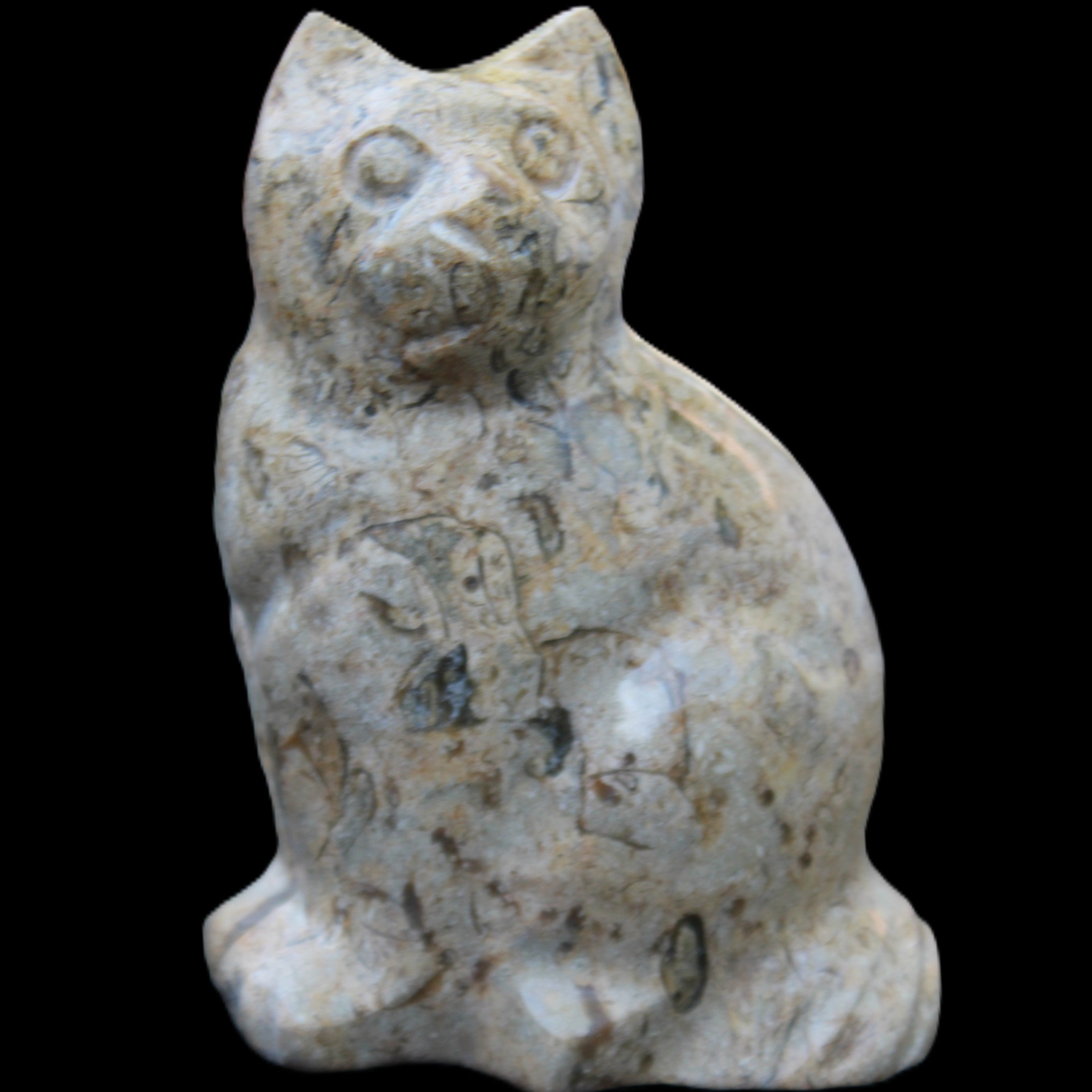 Fossil stone hand-carved Cat 81*45*115mm 534g in sunlight - Rocks and Things Store