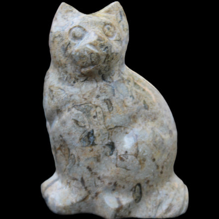 Fossil stone hand-carved Cat 81*45*115mm 534g in sunlight - Rocks and Things Store
