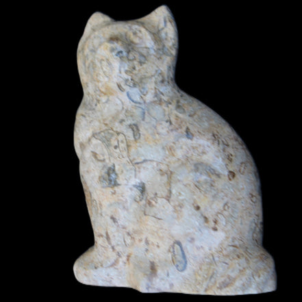 Fossil stone hand-carved Cat 81*45*115mm 534g in sunlight - Rocks and Things Store