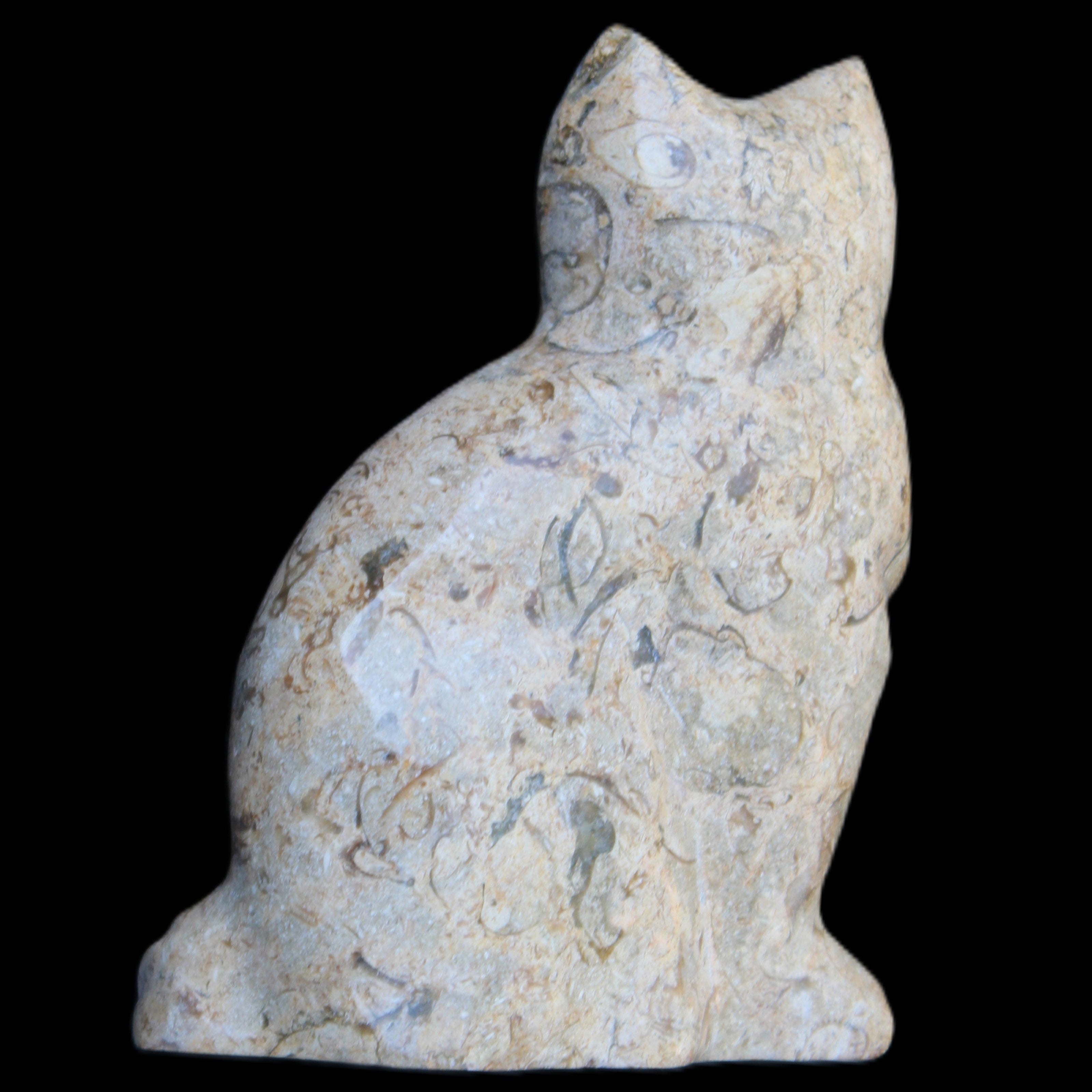 Fossil stone hand-carved Cat 81*45*115mm 534g in sunlight - Rocks and Things Store