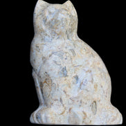 Fossil stone hand-carved Cat 81*45*115mm 534g in sunlight - Rocks and Things Store
