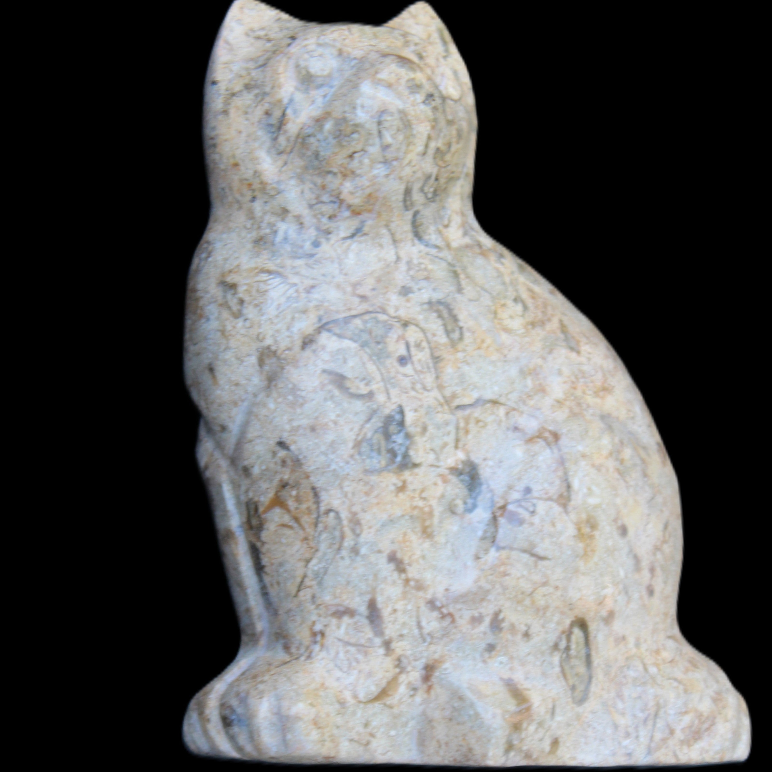 Fossil stone hand-carved Cat 81*45*115mm 534g in sunlight - Rocks and Things Store