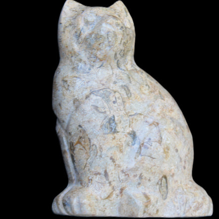 Fossil stone hand-carved Cat 81*45*115mm 534g in sunlight - Rocks and Things Store