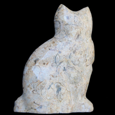 Fossil stone hand-carved Cat 81*45*115mm 534g in sunlight - Rocks and Things Store
